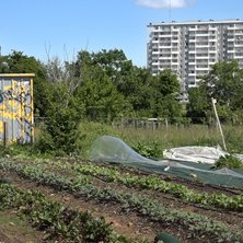 Photo d illustration