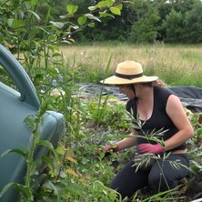 Photo d illustration